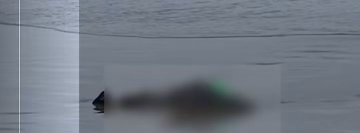 INVESTIGAN EL HALLAZGO DE UN CUERPO SIN VIDA EN LA PLAYA DE LAS TONINAS